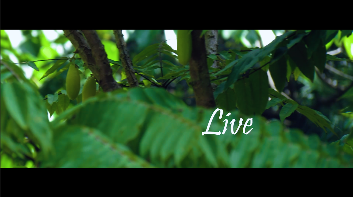 Screen 2
